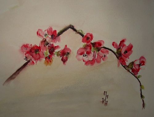 Pommier du Japon -Aquarelle - Fevrier 2008