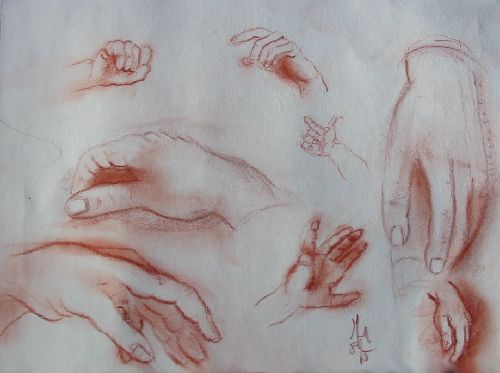 Etude de mains - Sanguine sur papier  Janvier 2008