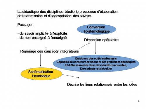 didactique des disciplines2.jpg