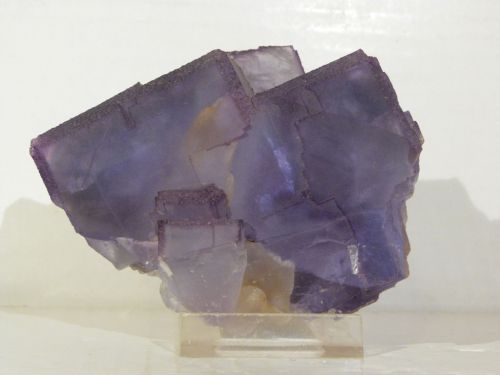 Fluorite - La Viesca Espagne Taille/size : 8,7 x 7,2 cm Taille/size cristal : 5,2 cm  Prix/Price : MP - Mail
