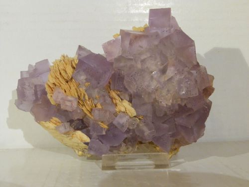 Fluorite Baryte - Berbès - Espagne (I1) Taille/size : 13,2 x 8,2 cm Taille/size cristal : 2,2 x 1,8 cm Prix/Price : MP - Mail