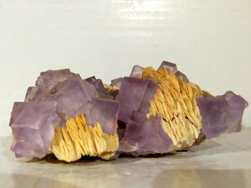 Fluorite Baryte - Berbès - Espagne (I1) Taille/size : 13,2 x 8,2 cm Taille/size cristal : 2,2 x 1,8 cm Prix/Price : MP - Mail