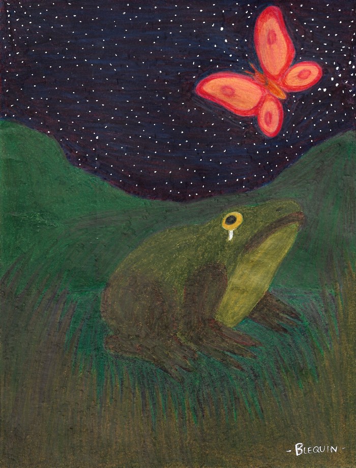 09-11-Le crapaud et le papillon.jpg