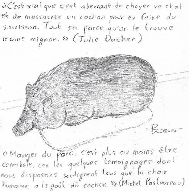 06-07-Porc-Cochon.jpg