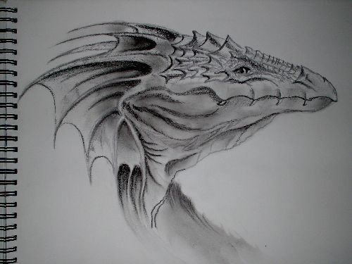 Dragon au crayon de bois 