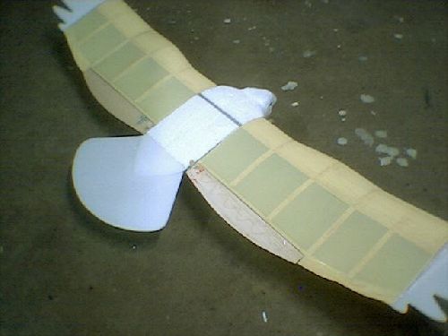 Un prototype de planeur avimorphe.