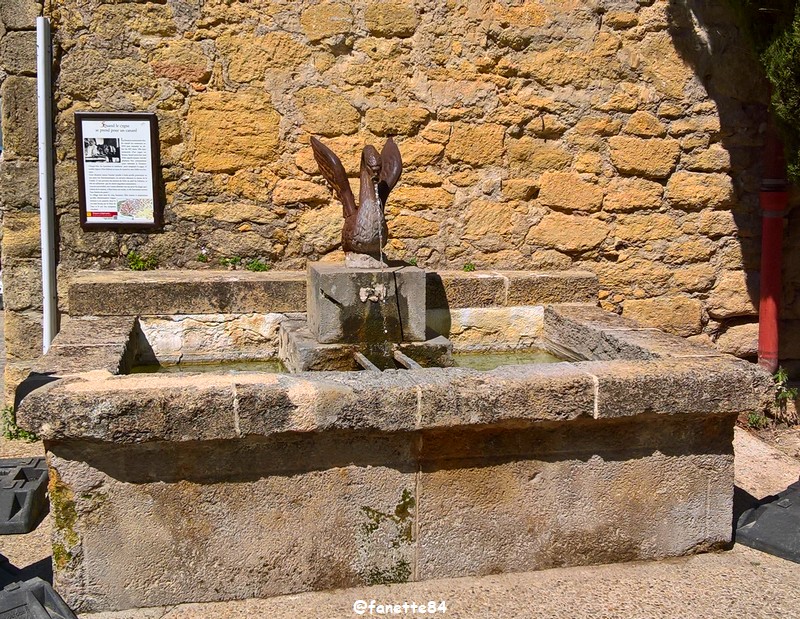 lauris (257) fontaine carnard.jpg