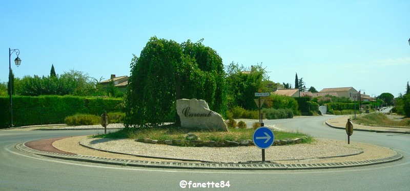 caromb_rond-point (1).JPG