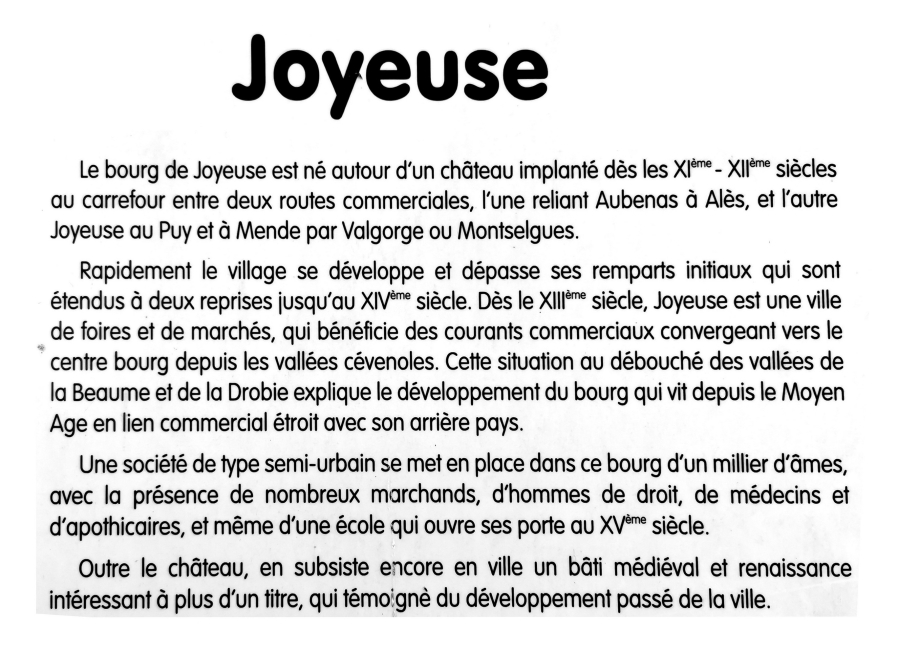joyeuse (12).jpg