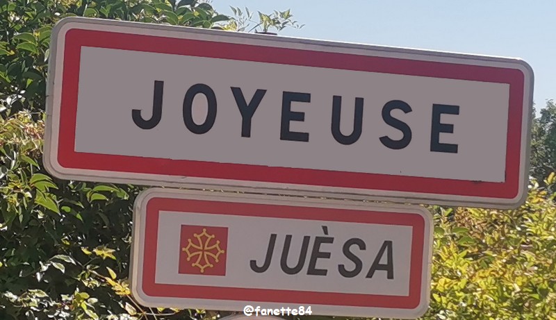 joyeuse (171) panneau ville.jpg