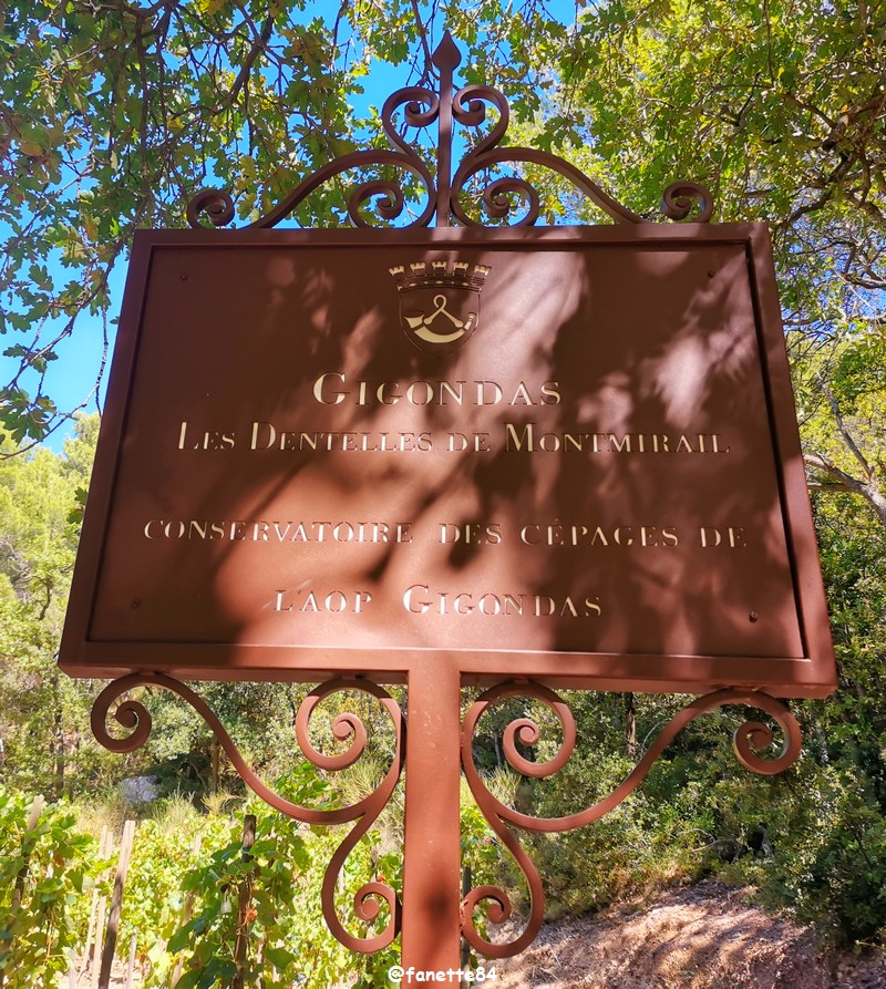 gigondas_dentelles (107).jpg