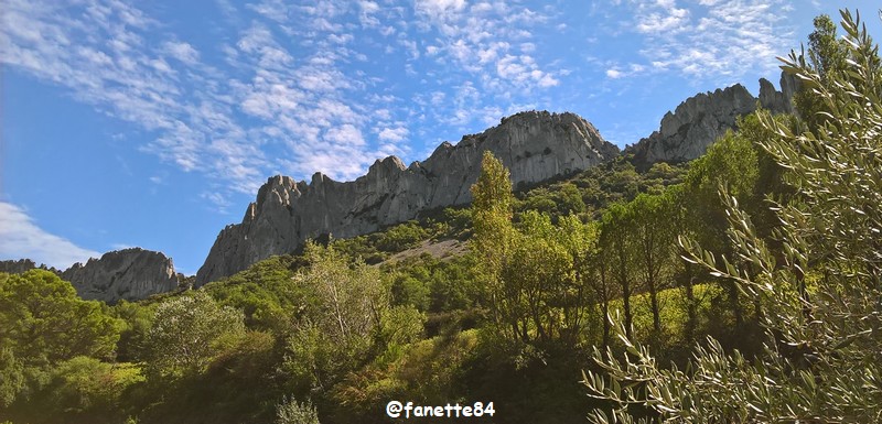 gigondas_dentelles (92).jpg