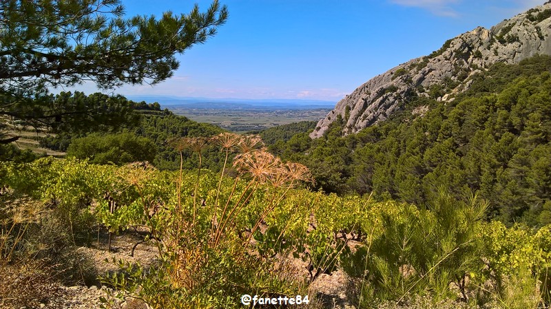 gigondas_dentelles (70) rocher.jpg