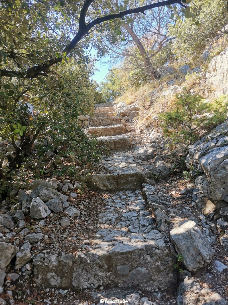 gigondas_dentelles (57) grimpe.jpg
