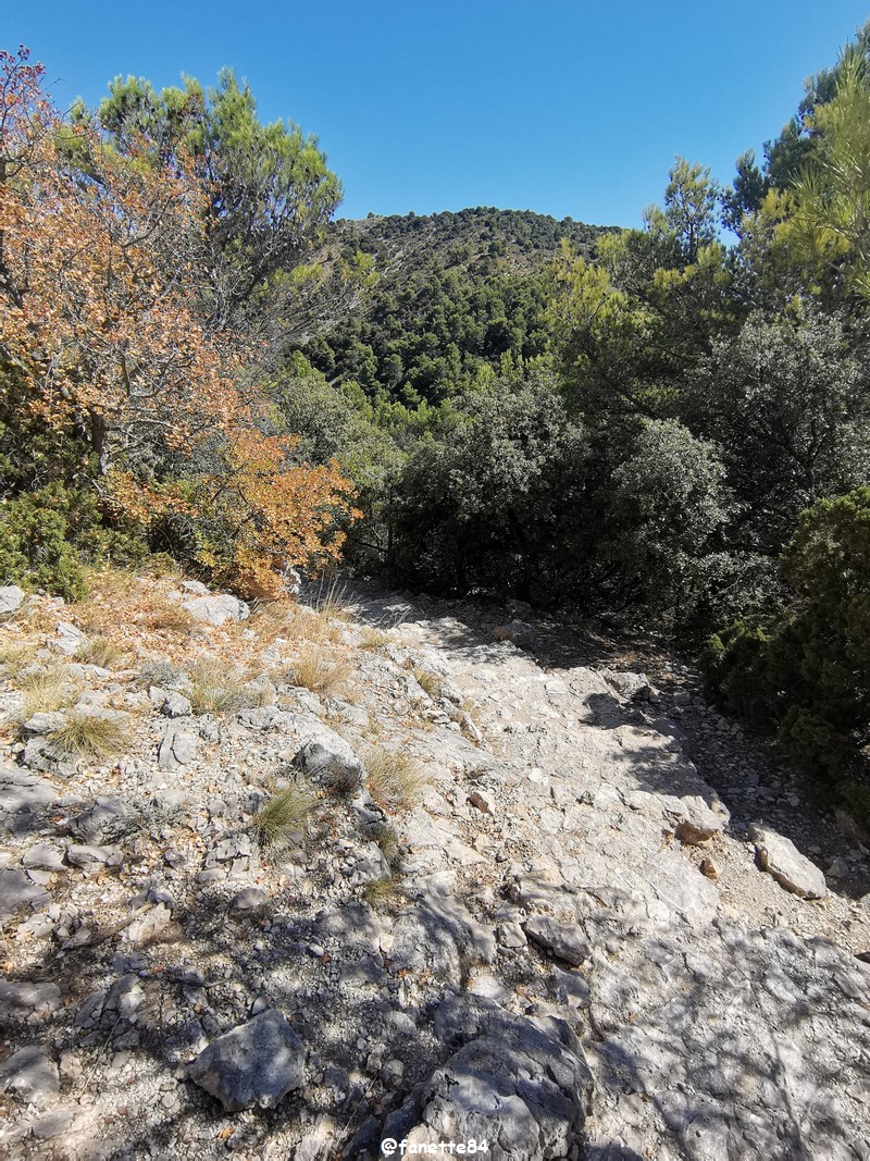 gigondas_dentelles (53) grimpe.jpg
