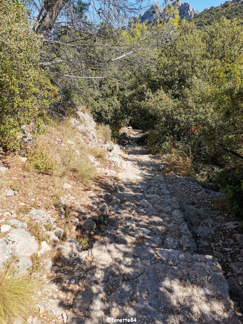 gigondas_dentelles (56).jpg