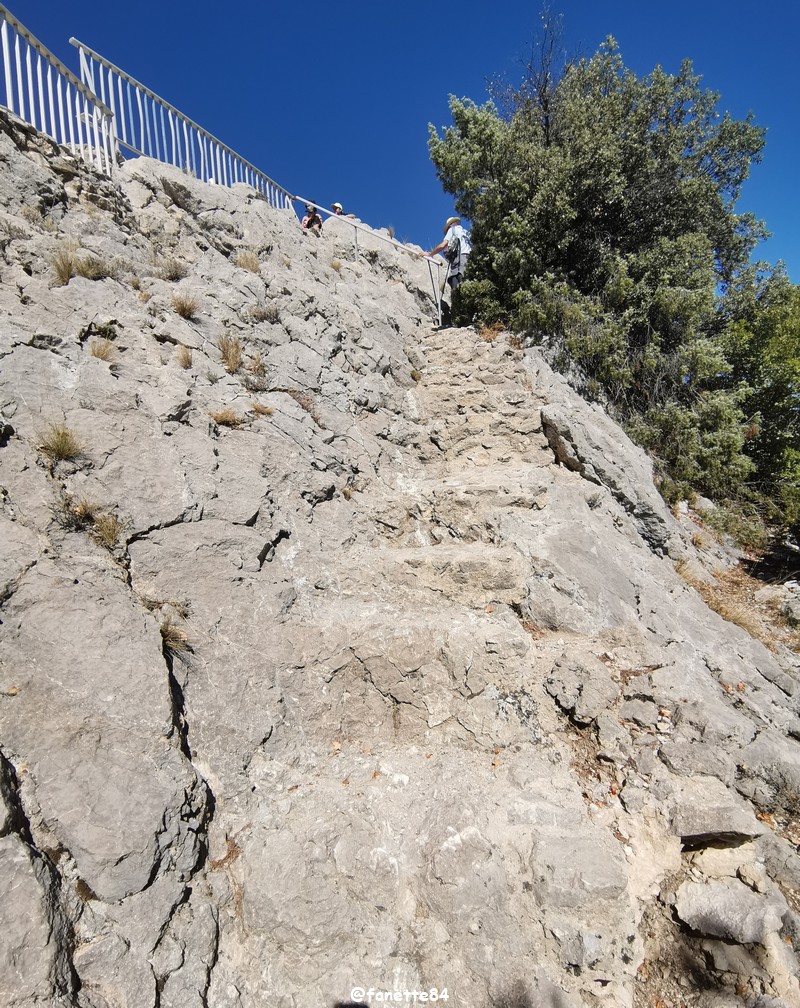 gigondas_dentelles (52) ter.jpg