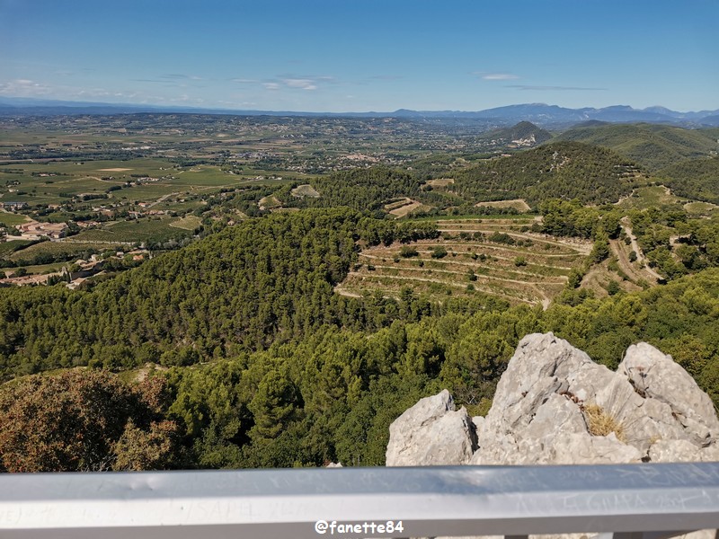 gigondas_dentelles (44).jpg