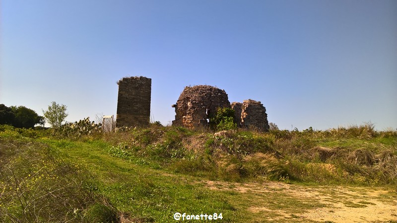 courthezon_chapelle_saint-georges (5).jpg