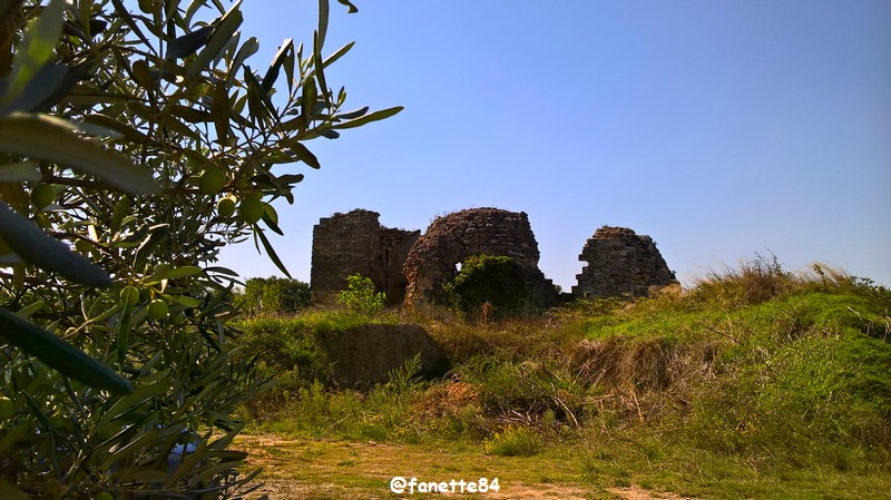 courthezon_chapelle_saint-georges (41).jpg
