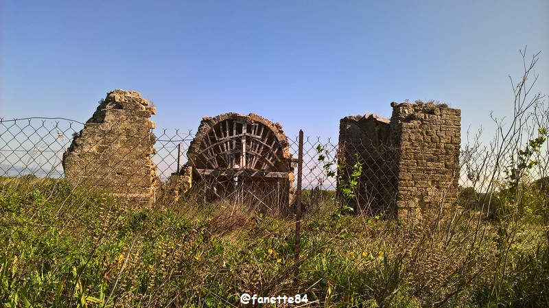 courthezon_chapelle_saint-georges (12).jpg