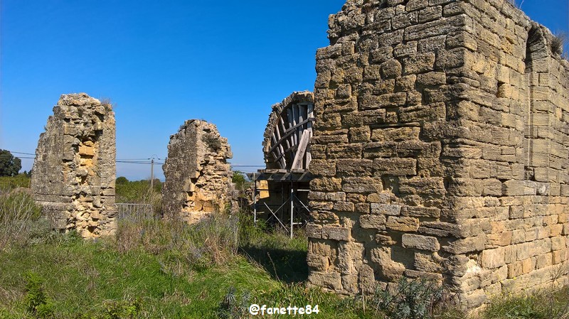 courthezon_chapelle_saint-georges (30).jpg