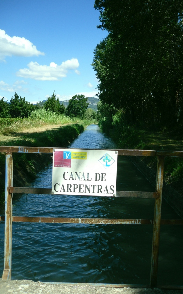 canal_de_carpentras_2016 (56).JPG