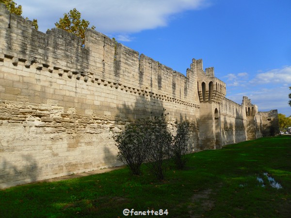 remparts 2018-9-10_avignon (13).JPG