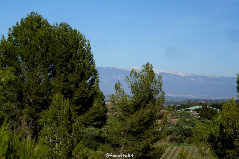 pernes_puy-bricon_ventoux 1 bis.JPG