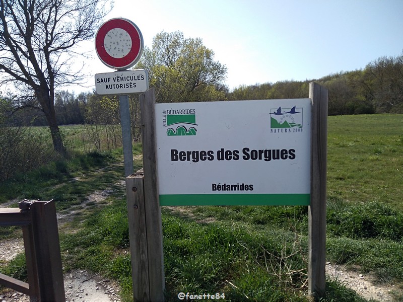 2022-26-03_bedarrides_berges_sorgue (1).jpg