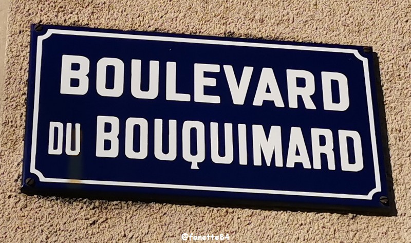 boulevard du bouquimard.jpg