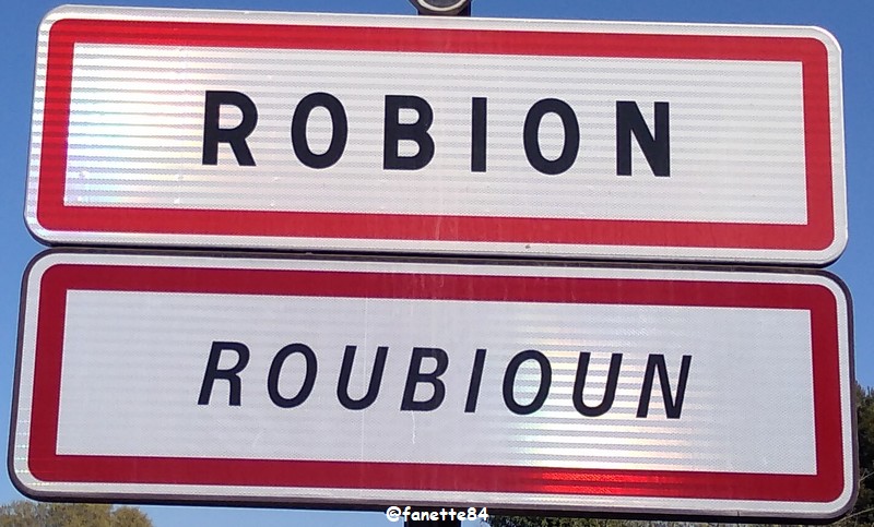 robion (3).jpg