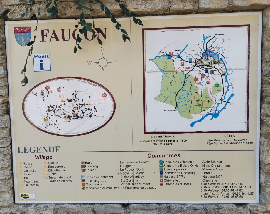 faucon (31).jpg