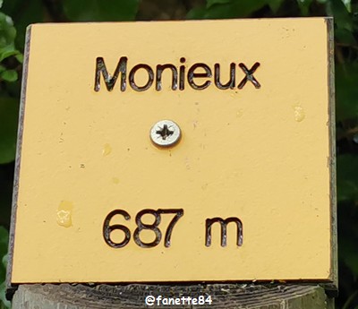 monieux (91).jpg