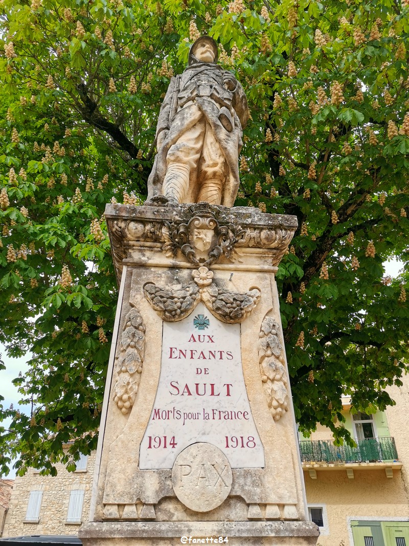 sault (2)  monument aux morts.jpg