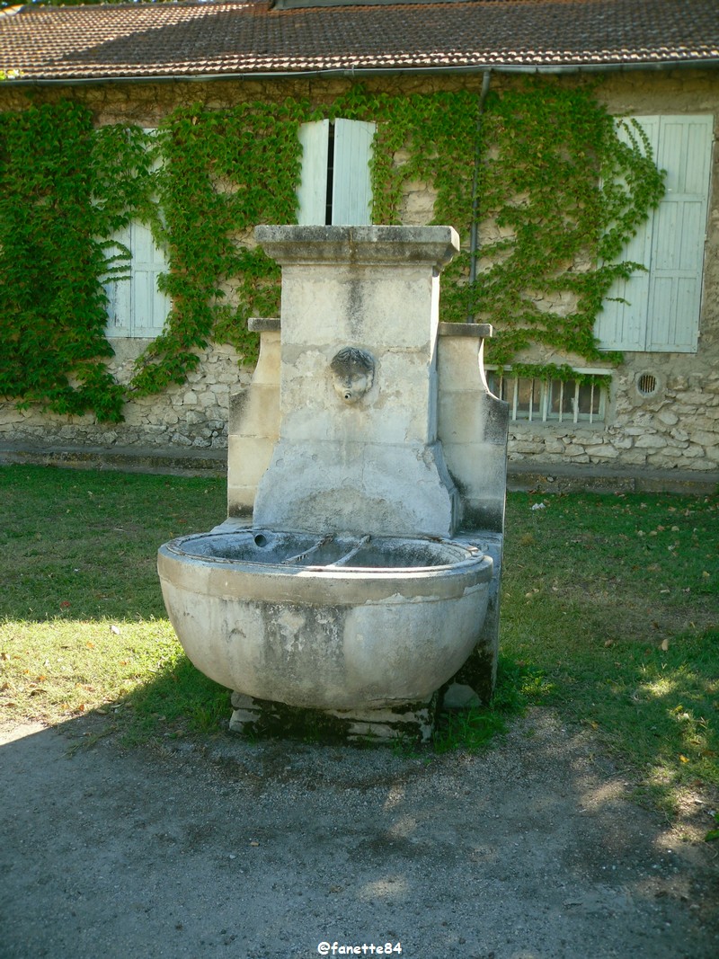 pernes fontaine (27).JPG