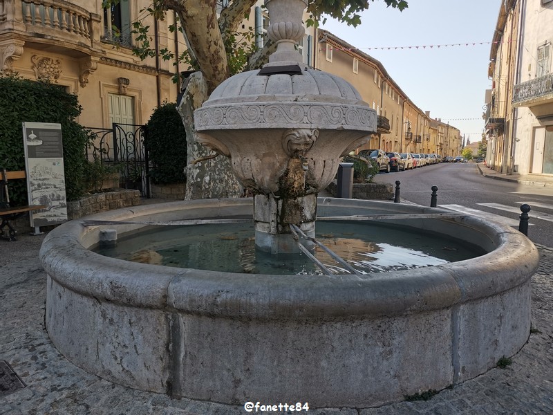 chateauneuf-pape (188) fontaine.jpg