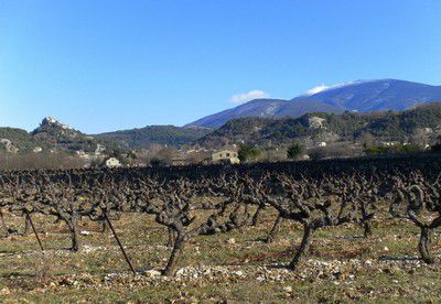 Le Mont-Ventoux enneigé (février 2013)