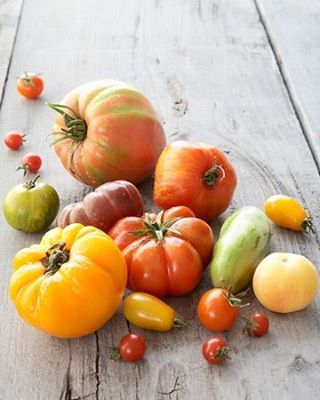 Diverses variétés de tomates.