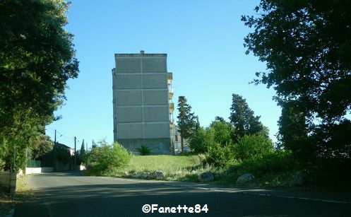 Les Griffons à Sorgues