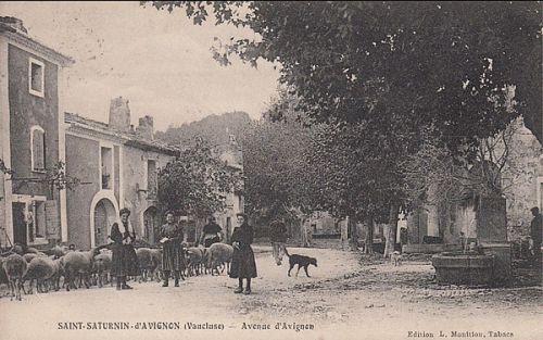 Saint Saturnin lès Avignon