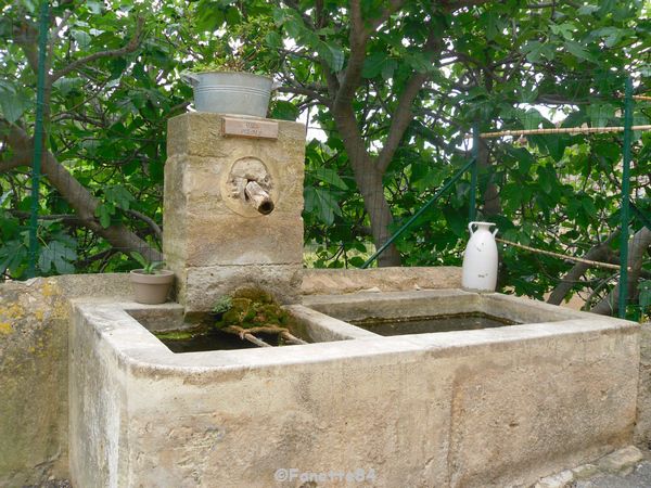 Fontaine à Saumane