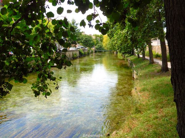 La Sorgue à l'Isle sur la Sorgue (été 2015)