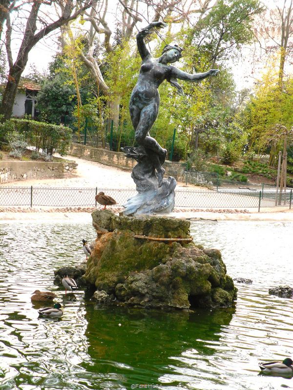 La Vénus aux hirondelles au Rocher des Doms à Avignon