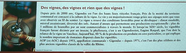 Explication des vignes de Gigondas
