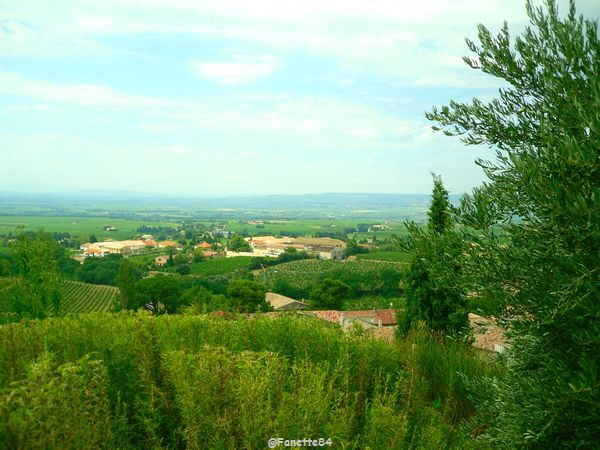 Gigondas vue du jardin botanique