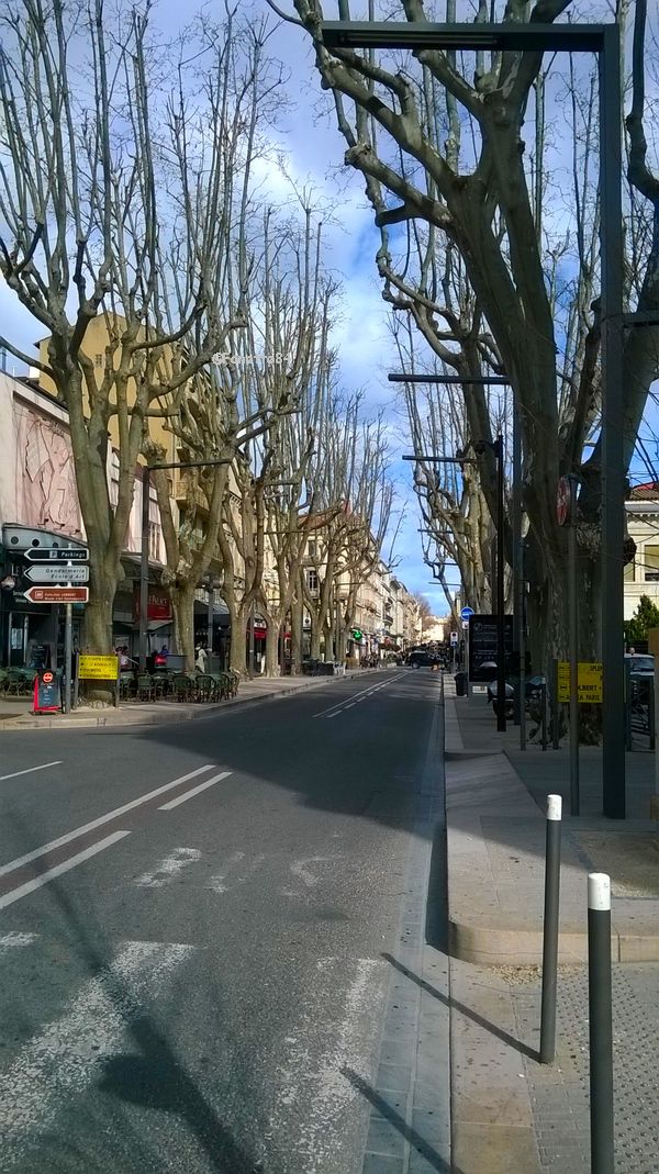 Avignon, rue de la République