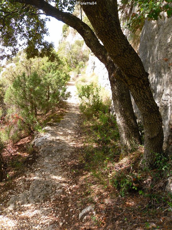 Chemin pour aller au sommet de la croix à St Gens