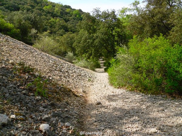 Chemin pour aller à la source miraculeuse de St Gens