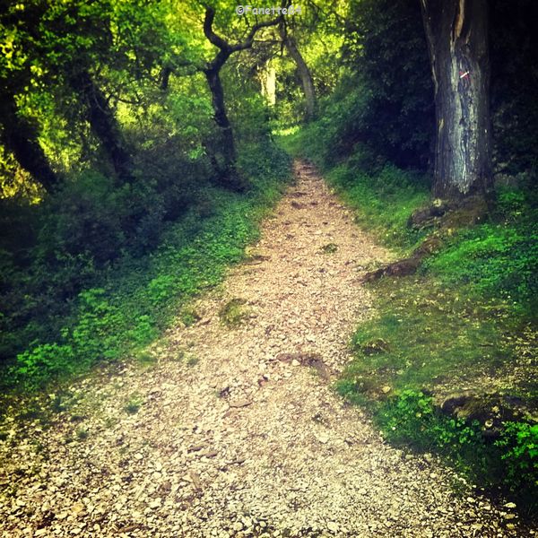 Chemin pour aller à la source miraculeuse de St Gens